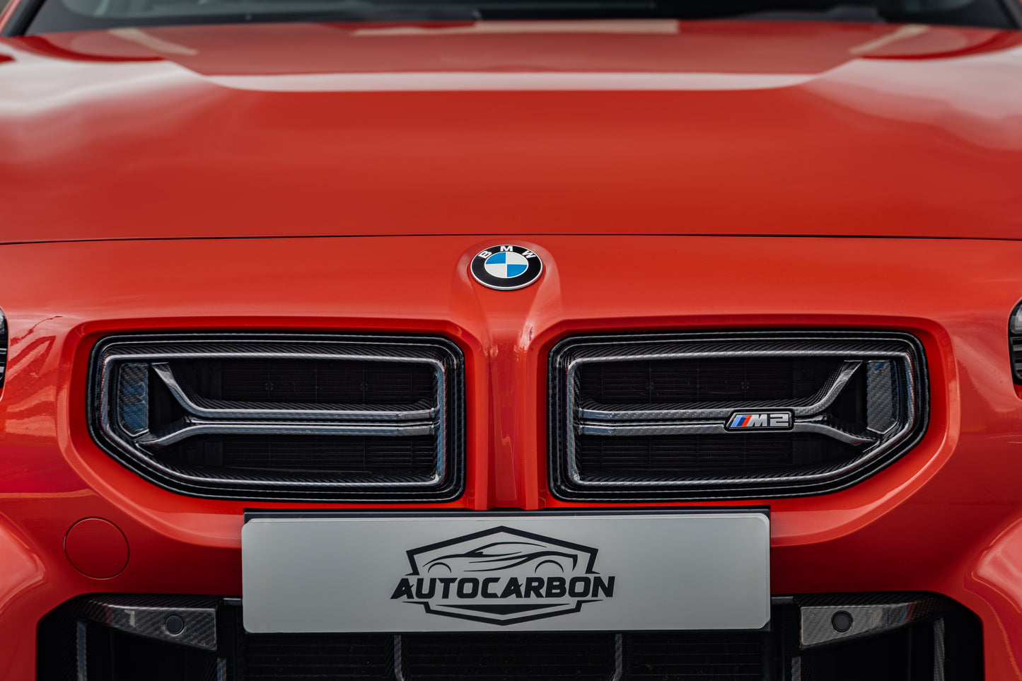 BMW G87 M2 Carbon Fibre Front Grill